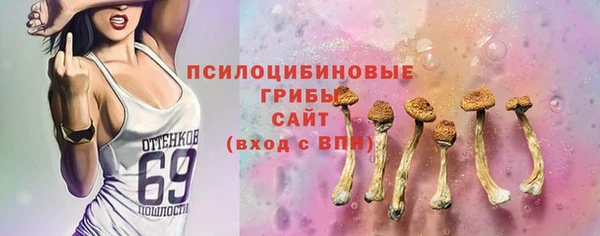 PSILOCYBIN Нефтекумск