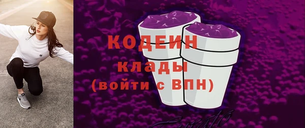 твердый Новозыбков