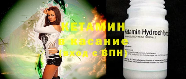 индика Новодвинск