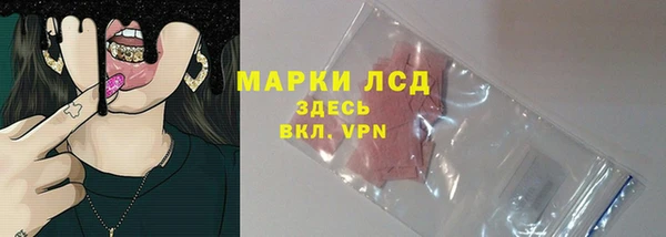 твердый Новозыбков