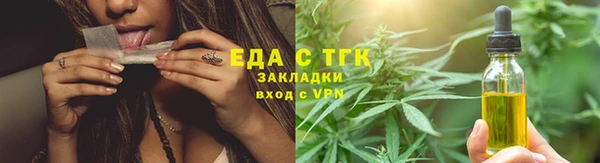 индика Новодвинск