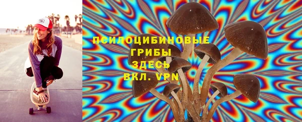 PSILOCYBIN Нефтекумск