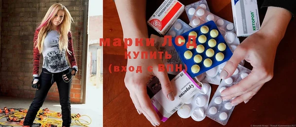 PSILOCYBIN Нефтекумск