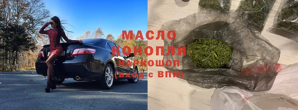 твердый Новозыбков