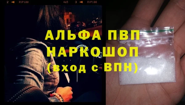 индика Новодвинск