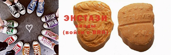 индика Новодвинск